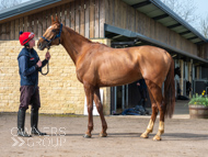 BP200326-59 - It's Hard To Know